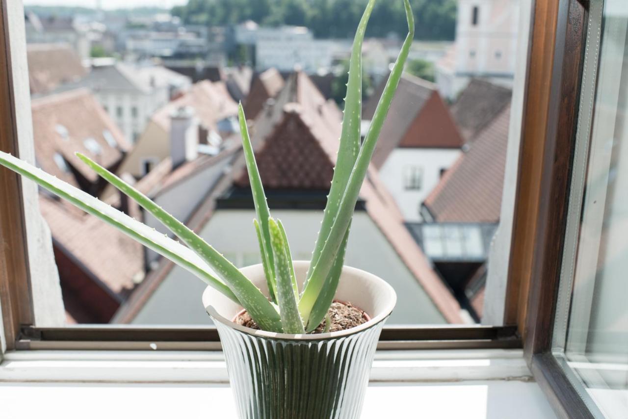 Stadthotel Styria ชไตอาร์ ภายนอก รูปภาพ